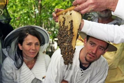 Imkerkurs mit 25 Prozent Preisvorteil