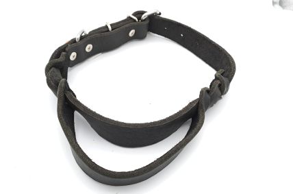 Fettlederhalsband mit Haltegriff schwarz
