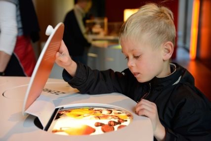 20 % Rabatt auf den regulären Eintritt im Varusschlacht-Museum Kalkriese