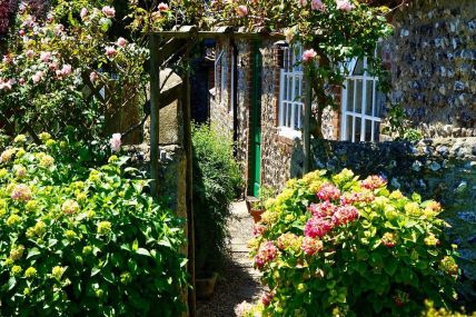 20 % Rabatt auf eine persönliche Gartenberatung bei aussenraum bruns in Oldenburg