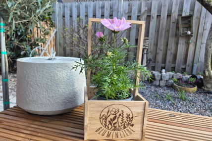 Holzkiste | Geschenk | Mitbringsel | Blumentopf | Lasergravur