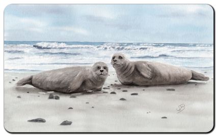 Aquarell Brettchen Frühstücksbrettchen Seehund Robbe Heuler DK78B