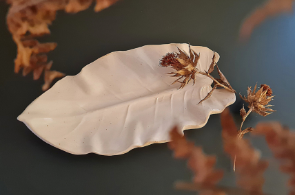 Blätterschale 'Philodendron'