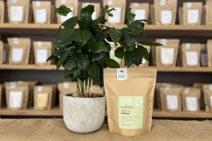 Kaffee entkoffeiniert No.08