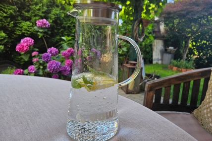Glaskaraffe mit Edelstahldeckel "OOWV"