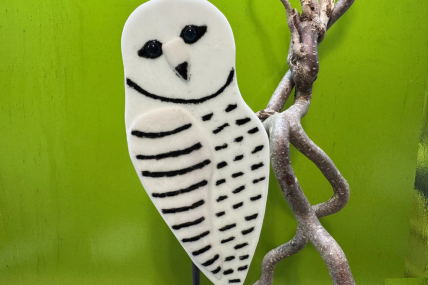 Schneeeule 2