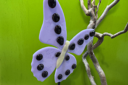 Schmetterling Lila