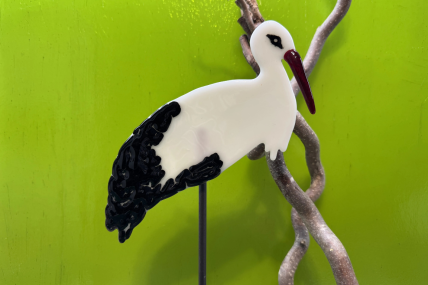 Storch