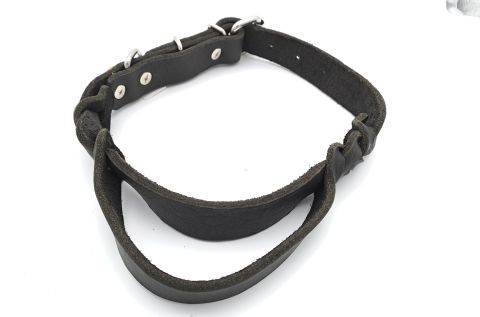 Fettlederhalsband mit Haltegriff schwarz