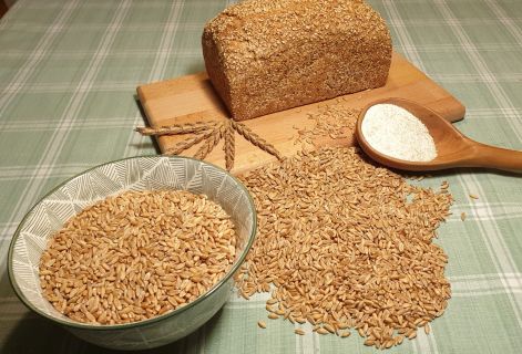 Oldenburger Bio-Dinkelkorn "Flauder", 5 kg im Papiersack
