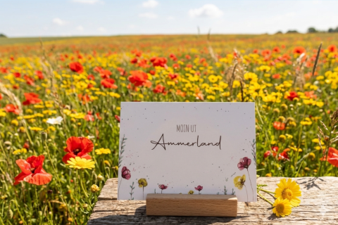 Postkarte: Moin ut Ammerland