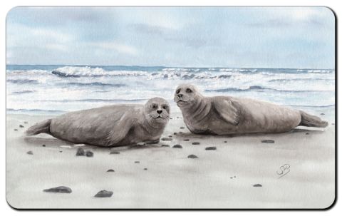 Aquarell Brettchen Frühstücksbrettchen Seehund Robbe Heuler DK78B