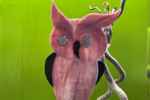 Eule Rosa