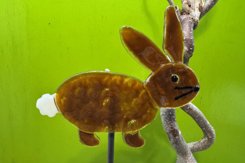 Hase dunkel