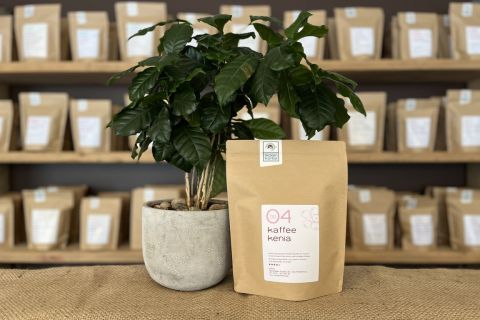 Kaffee Kenia No.04