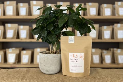 Kaffee Mexiko No.13