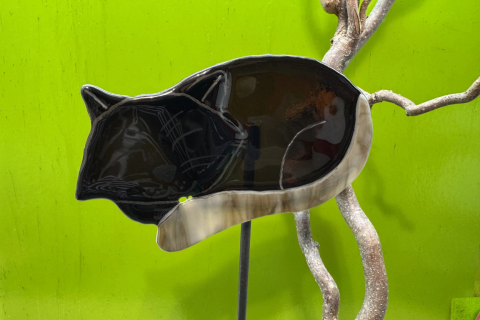 Katze Schwarz/Braun