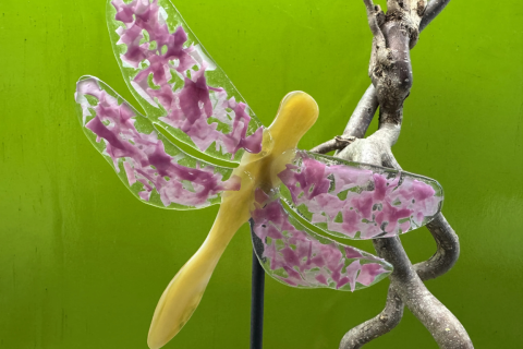 Libelle Rosa