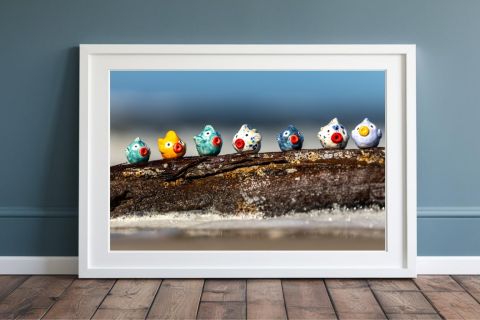 Strandmenschen "Treibholzfische"