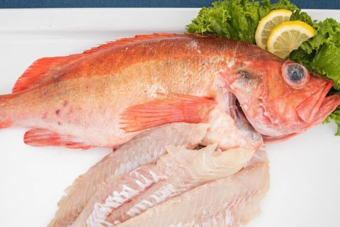 Fangfrisches Rotbarschfilet 500g
