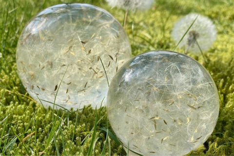 Magische Pusteblume in Epoxidharz - Handgefertigter Briefbeschwerer Groß Blütensamen