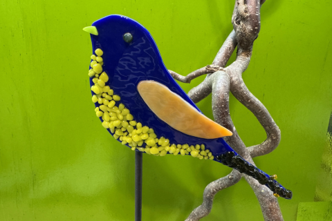 Vogel Blau
