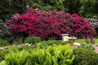 Bauerngarten Anke zu Jeddeloh
