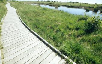 Naturlehrpfad 