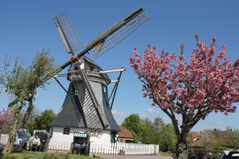 Erdholländer Mühle