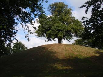 Plytenberg Leer