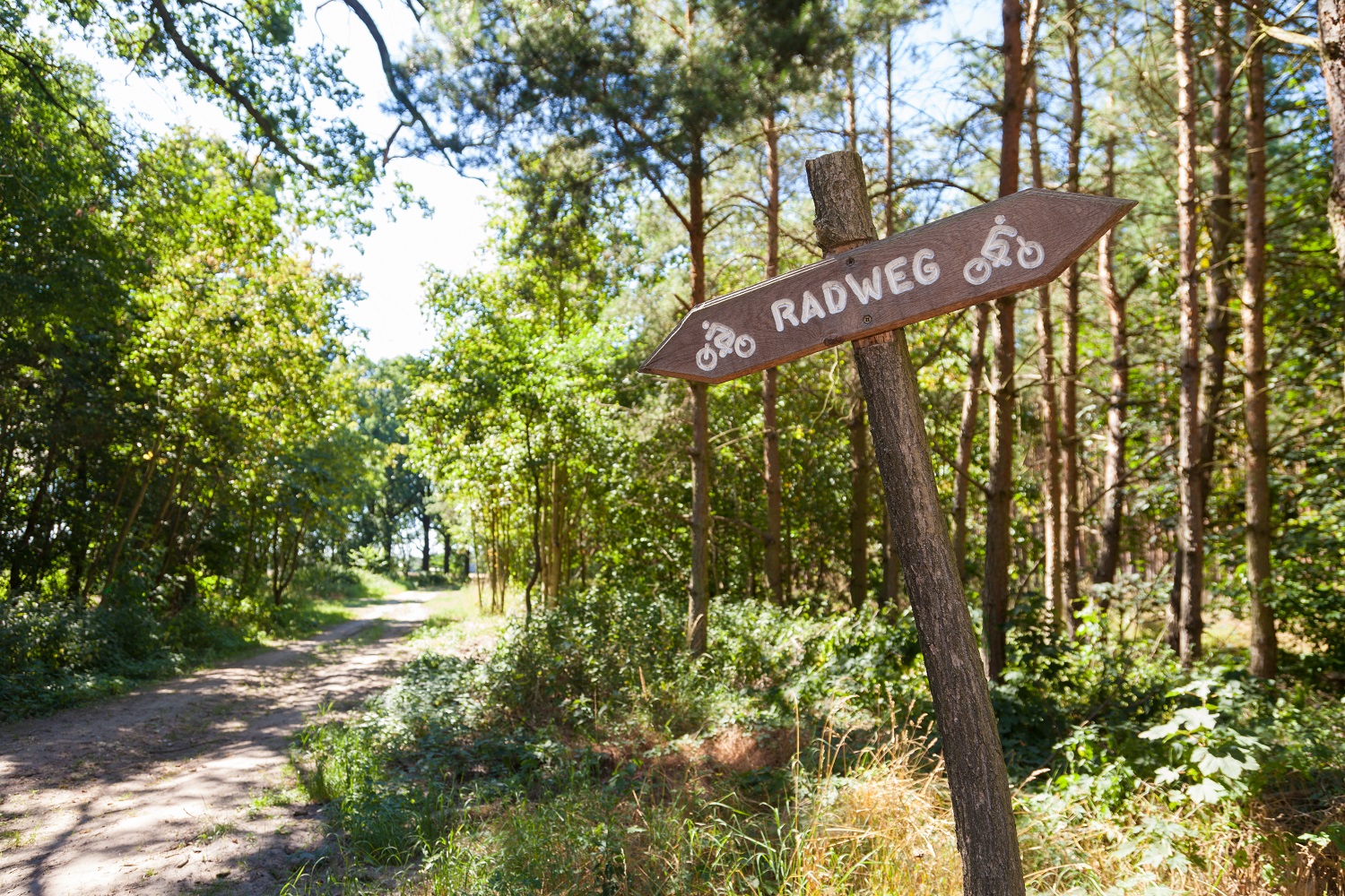 Der Ems-Jade-Kanal Radweg: Ein Sattelfest durch Marsch, Moor und Geest