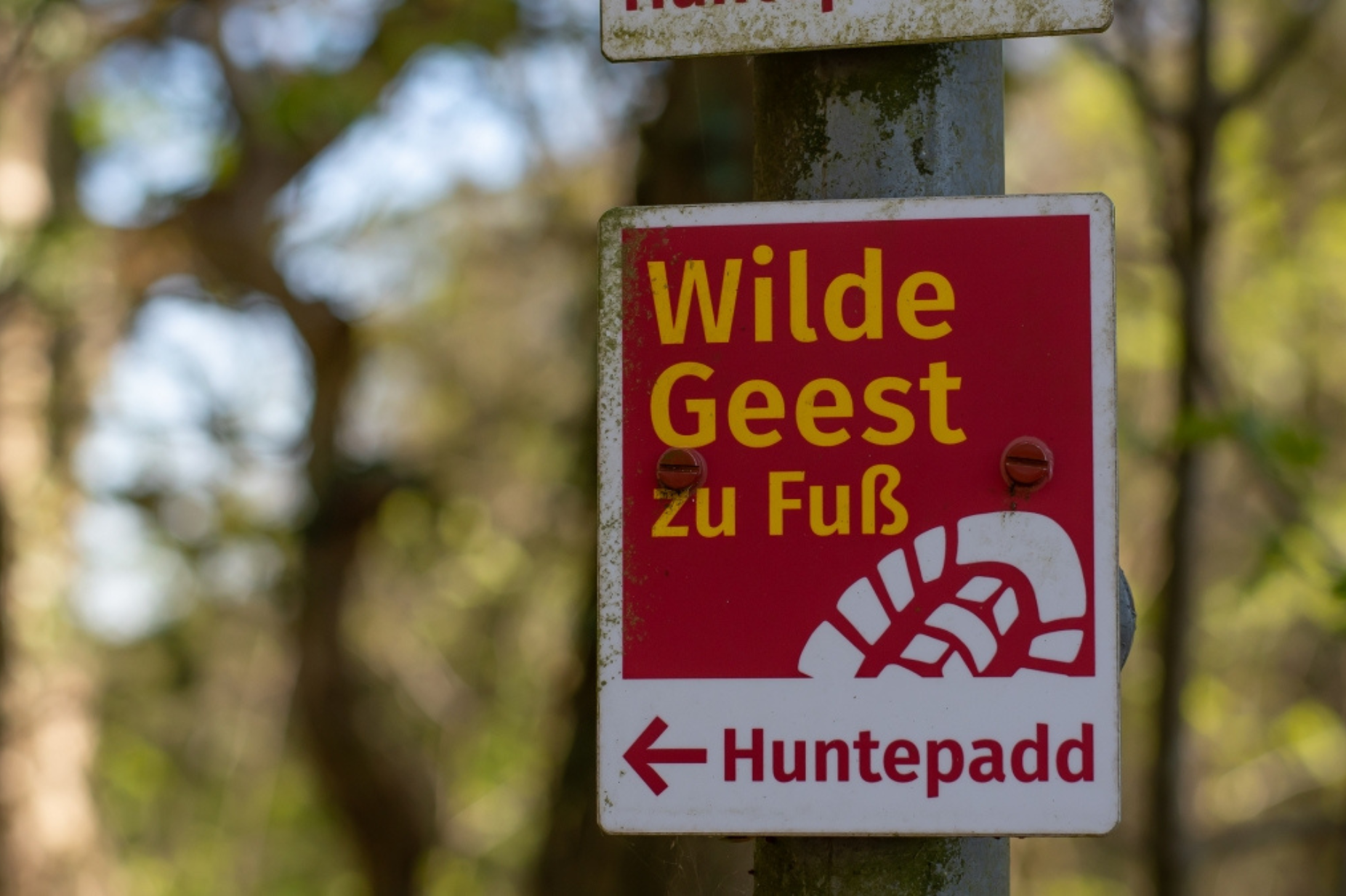 Ausflugstipp: Rundwanderweg D&ouml;tlinger Huntepadd