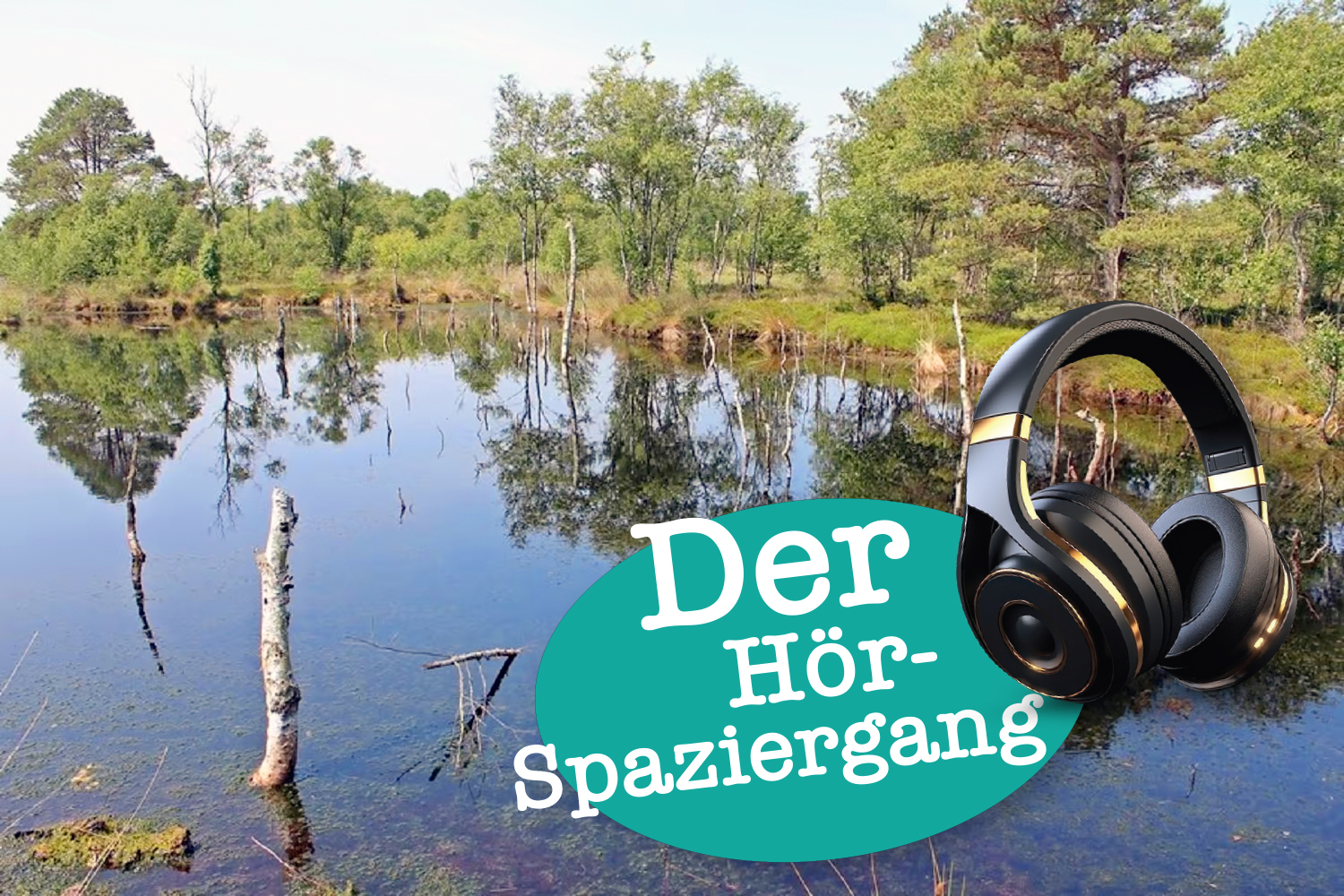 Der Dausener Moorpad als Hörerlebnis