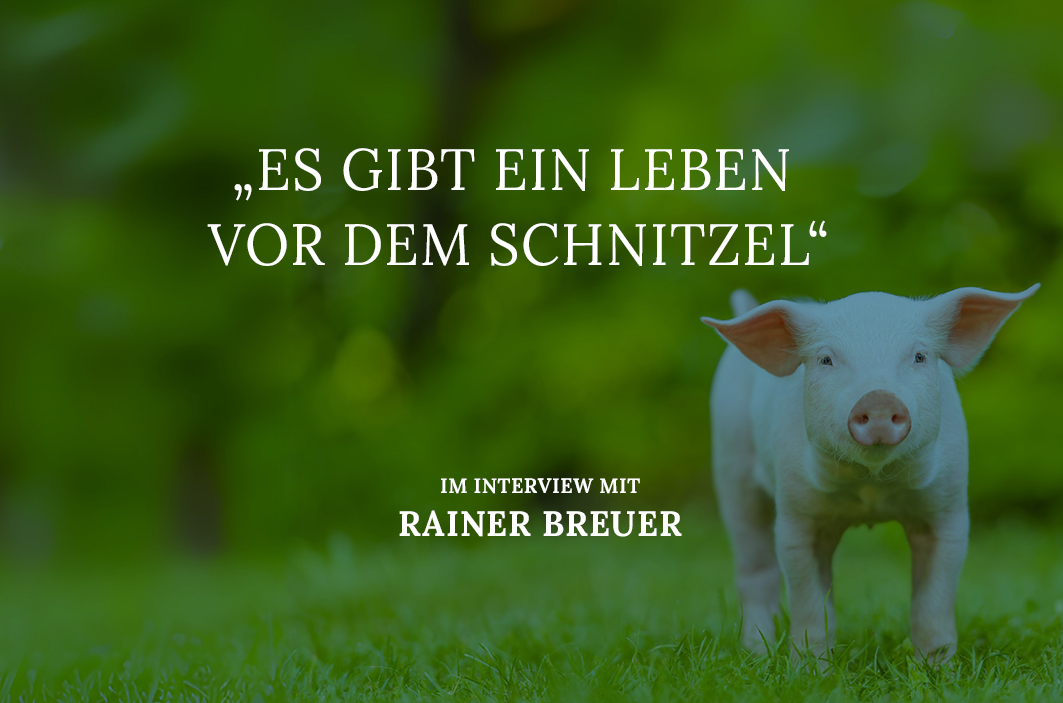 Was macht einen Bio-Bauernhof aus?